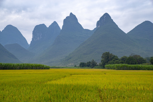 风景