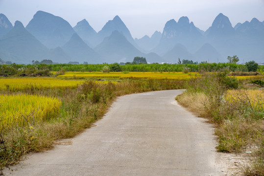 乡村小路远山风景