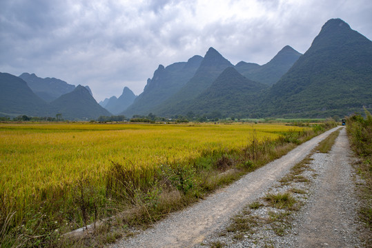 自然风景乡村田园