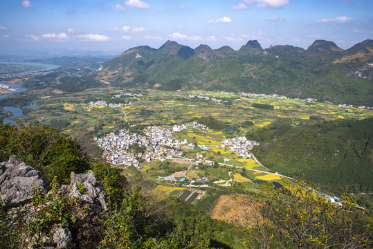 村庄地貌农田田野