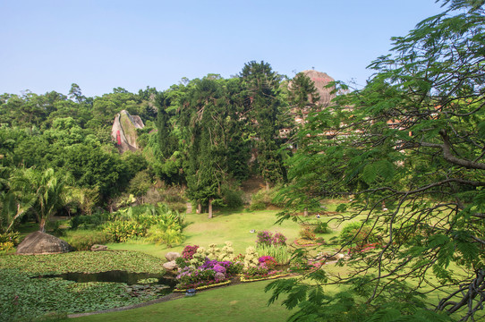 厦门园林植物园玫瑰园风景