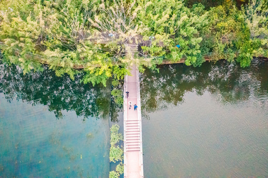 深圳龙潭公园