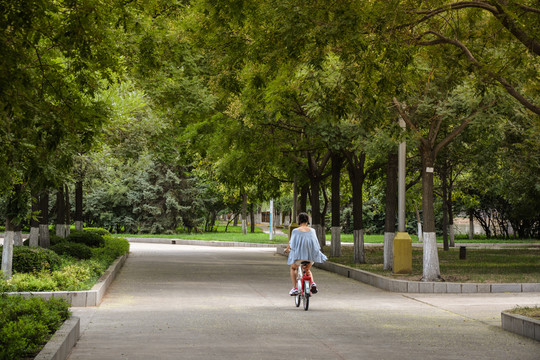 辽宁省锦州市渤海大学校园风光