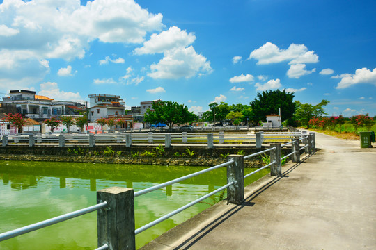 鱼塘风景