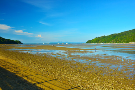 退潮赶海