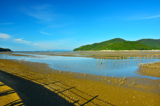 滩涂海面