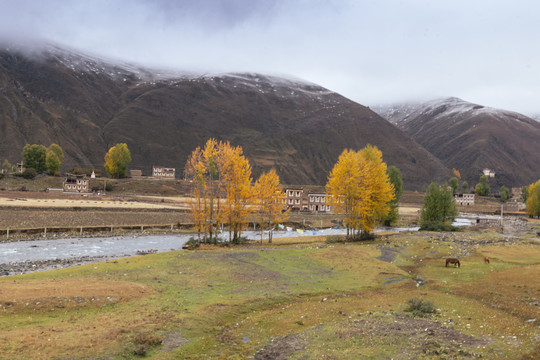 秋季雪山河流藏族民居自然风光