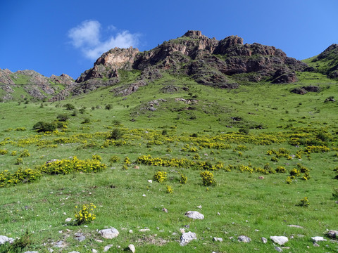 草原风景