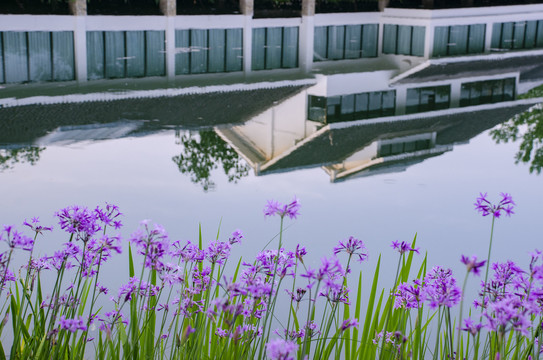 杜甫草堂浣花园林区建筑水面倒影