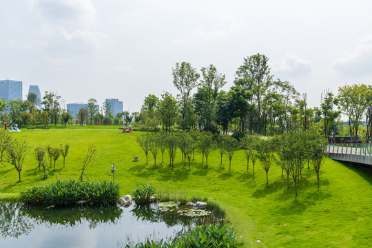 成都交子公园风景