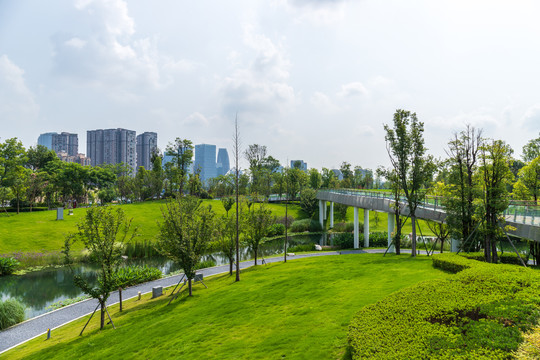 成都交子公园风景