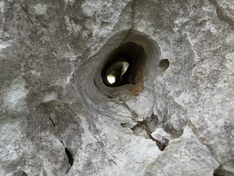 太湖石岩石孔洞