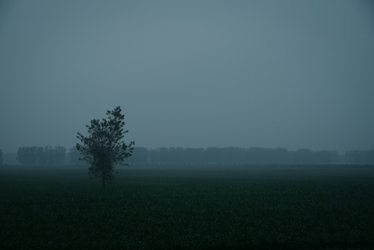 阴雨连绵村景