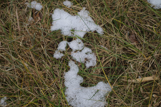 融化的积雪