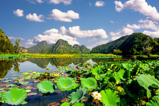 三生三世十里桃花