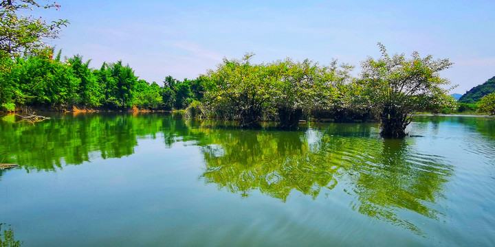 桂林会仙国家湿地公园