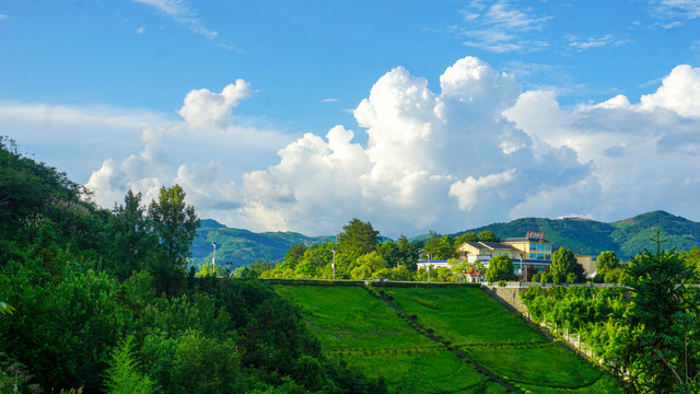 龙湖湿地水库