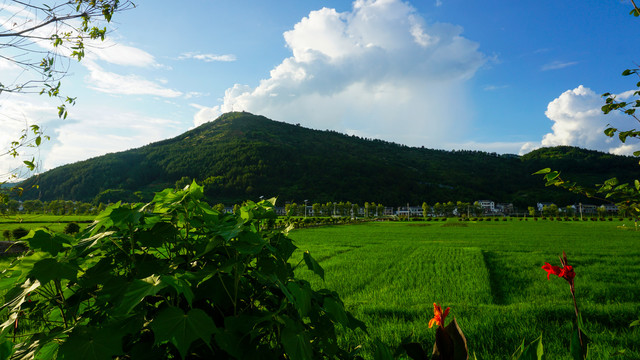 中峰贡米基地蓝天