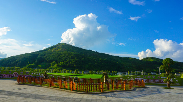 中峰贡米基地景观