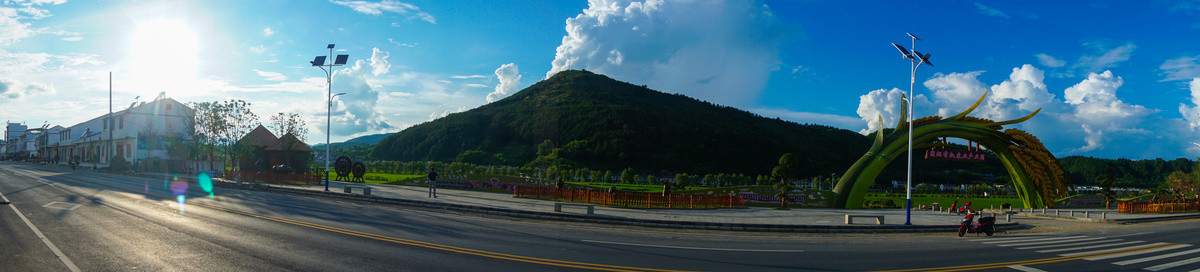 中峰贡米基地全景