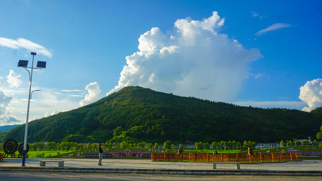 中峰贡米基地十