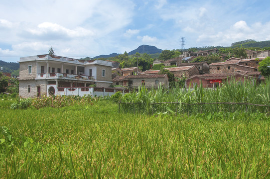 乡土风情樟脚村