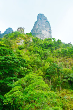 高山仰之