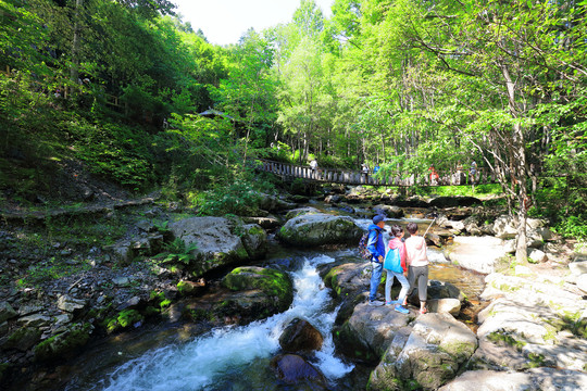 山泉瀑布森林