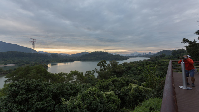 深圳淘金山绿道