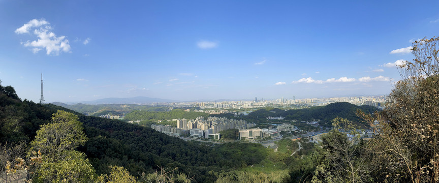 青山绿水就是金山银山