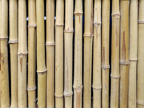 竹子背景墙