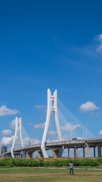中山市中山港大桥现代交通路桥