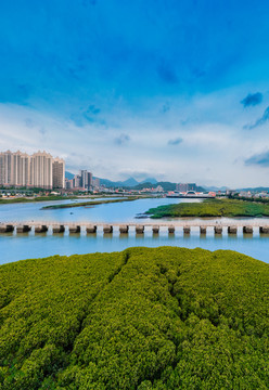 泉州洛阳桥风景区