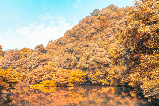 杭州九溪十八涧风光