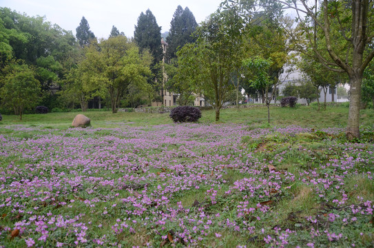 福建林业大学