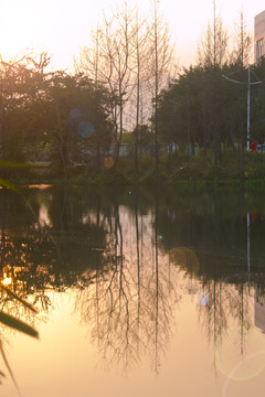 福建林业大学