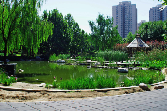 北京朝阳区北小河公园