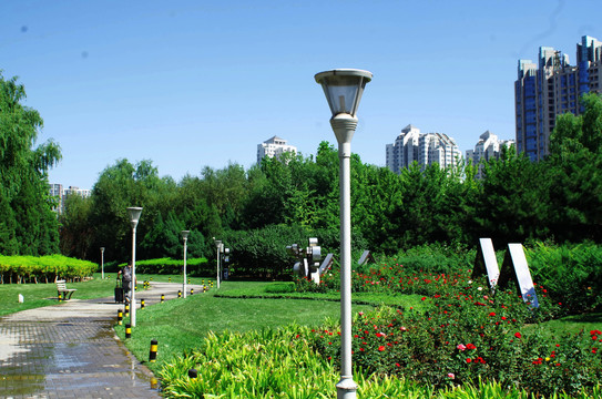 北京朝阳区北小河公园