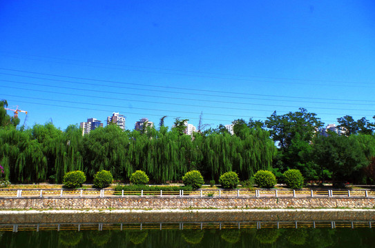 北京朝阳区将台英河公园