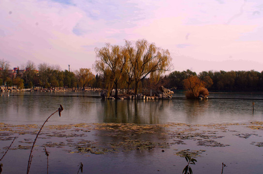 北京龙潭西湖公园