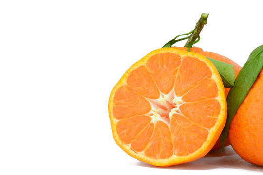 丑橘粑粑柑