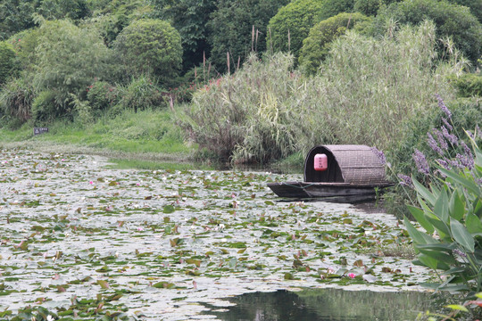 池塘小船
