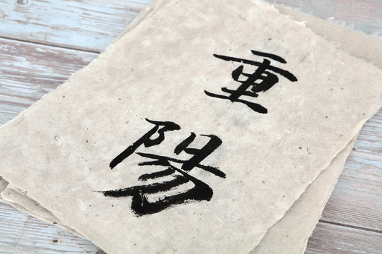 重阳二字汉字书法