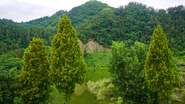 青山绿树