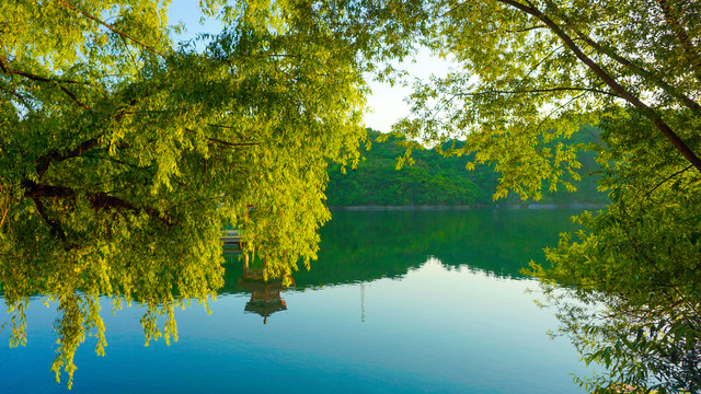 龙湖公园美景