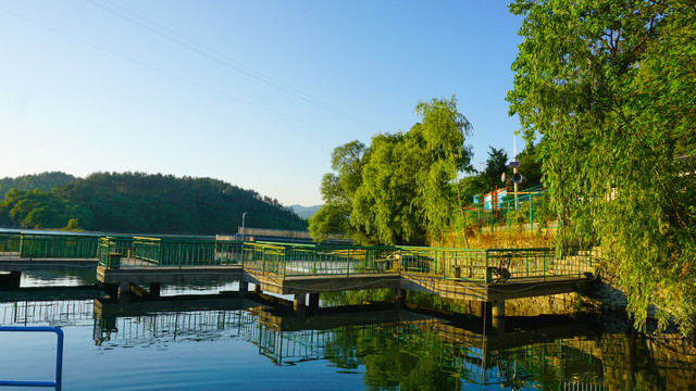 龙湖公园夏天