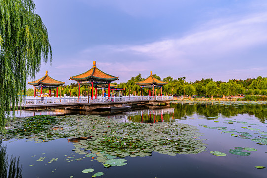 夏季的中国长春南湖公园风景