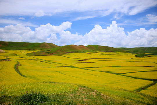 甘南旅游风光