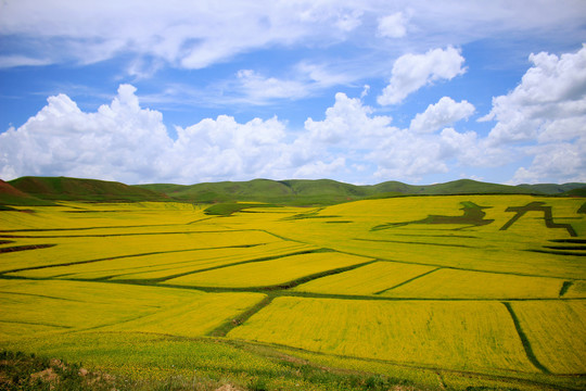 甘南旅游风光