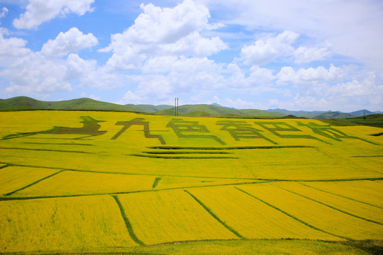 甘南旅游风光